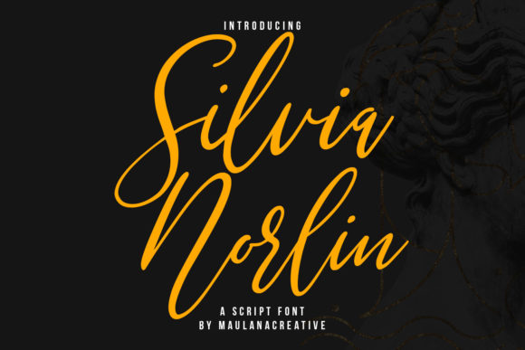 Choosing Silvia Norlin: A Script Font That Elevates Web Design