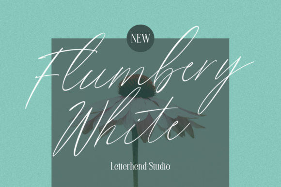Flumbery White: A Script Font for Polished Branding