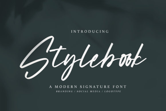 Stylebook: A Delicate Script Font